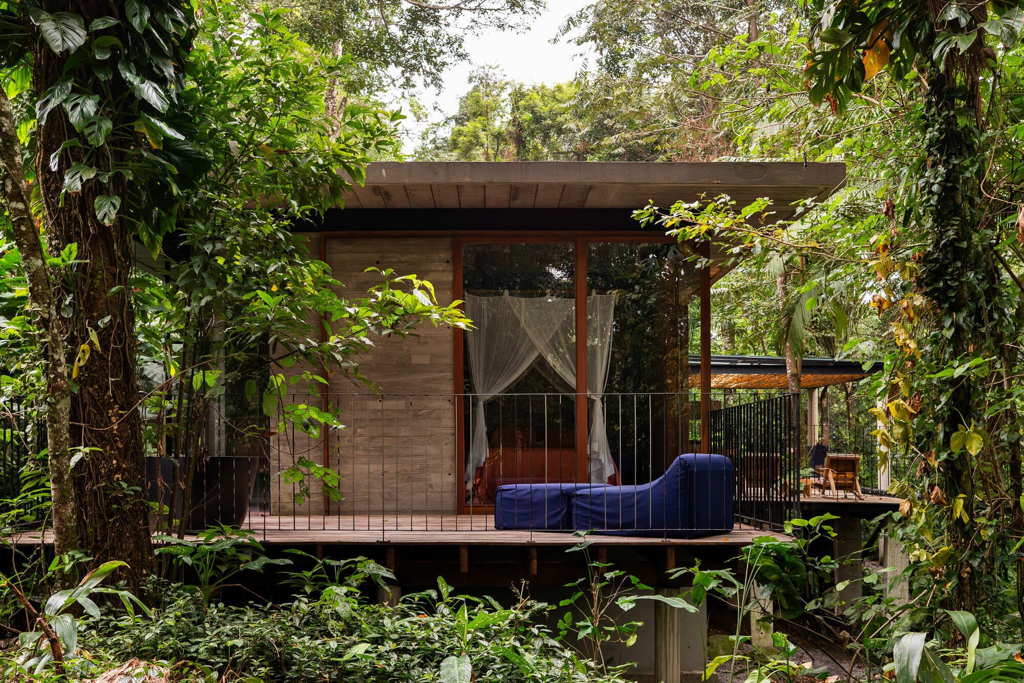 Studio Carlito e Renata Pascucci Threads a Concrete House Through Untouched Forest in São Sebastião