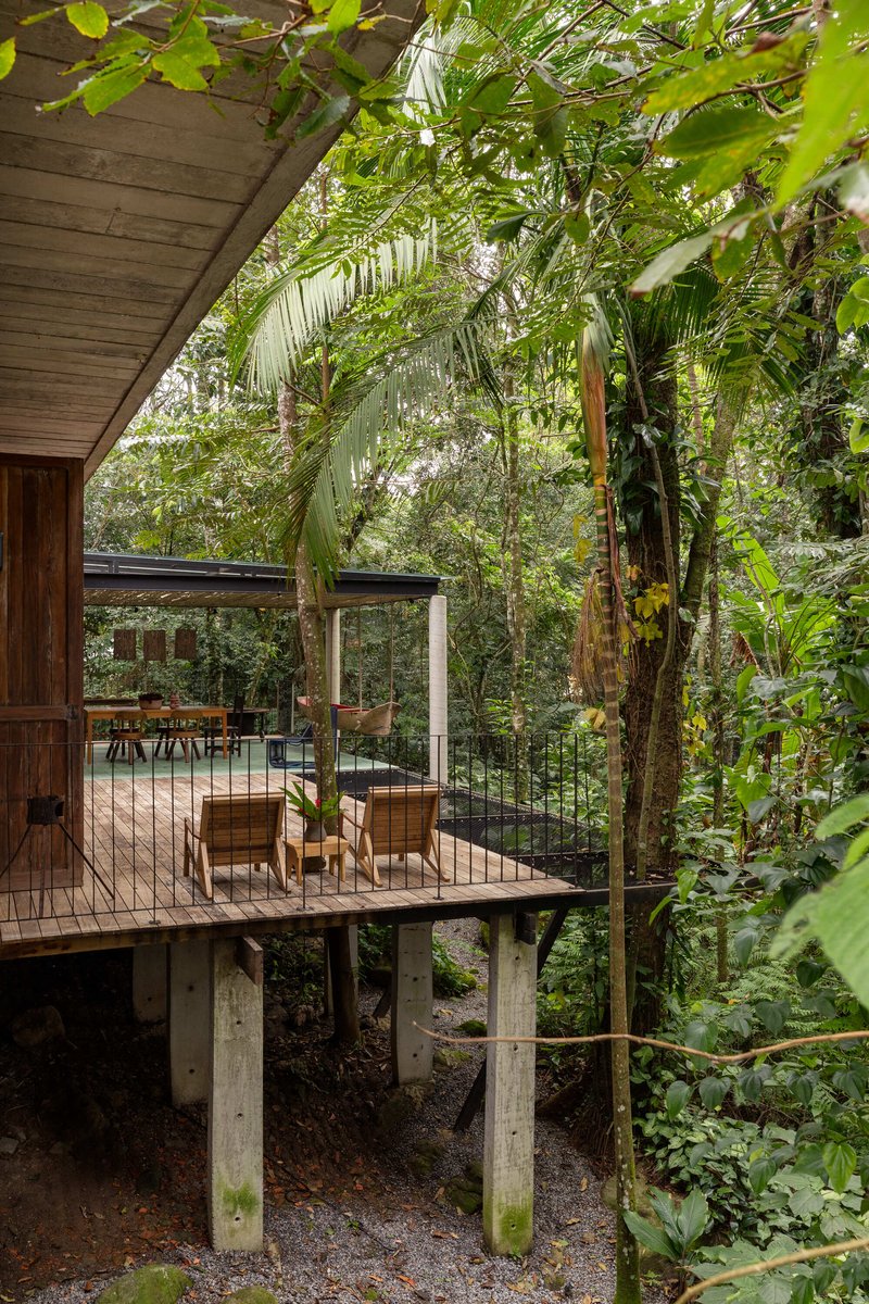 Elevated timber deck on concrete piers with wicker chairs beneath overhanging palm fronds
