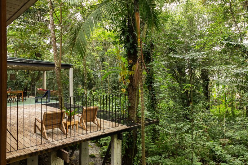 Timber deck cantilevered over forest floor with metal railings and two lounge chairs