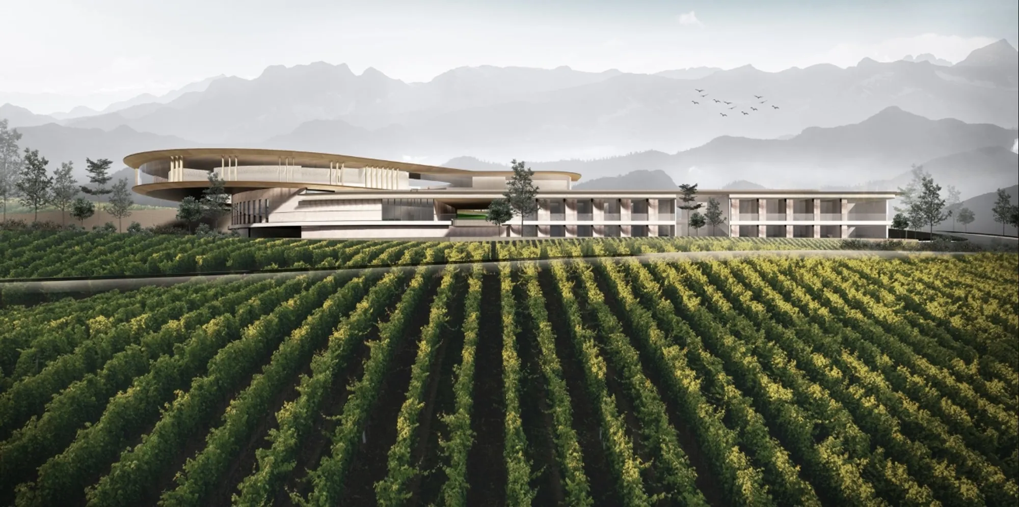 Perfect Blend: Winery Architecture Inspired by the Ritual of Wine Aeration