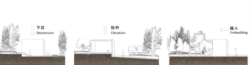 Three section drawings depicting varying topographic relationships between built volumes and planted tree canopies