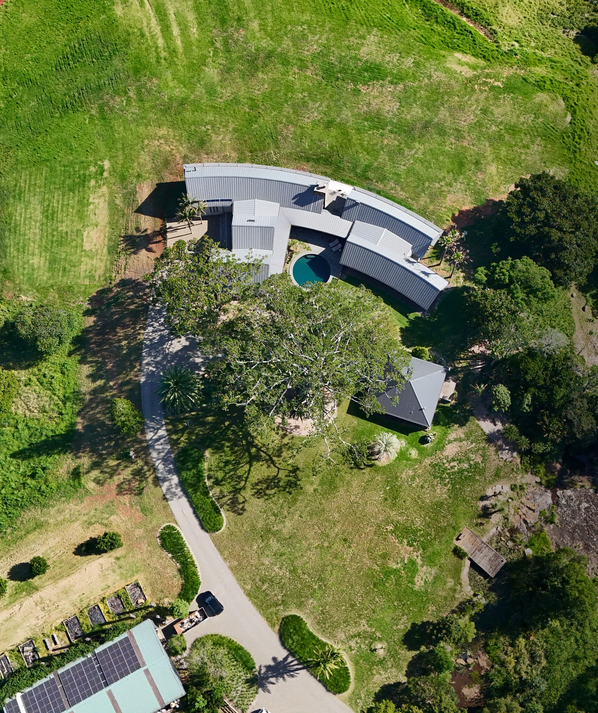 Casey Brown Architecture Wraps Curving Pavilions Around a 150-Year-Old Fig Tree on a New South Wales Hilltop