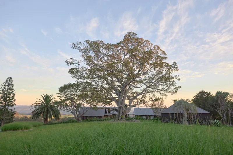 Metal-roofed pavilions beneath a large tree in a grassy field at sunset