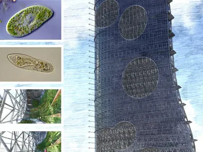CityScraper: A Green Architecture Prototype for a Permeable Urban Cell in San Francisco