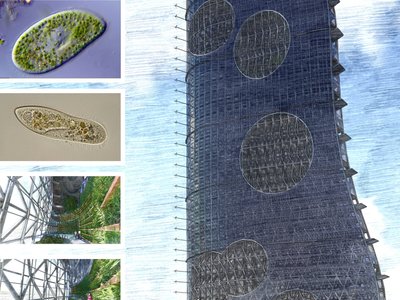 CityScraper: A Green Architecture Prototype for a Permeable Urban Cell in San Francisco