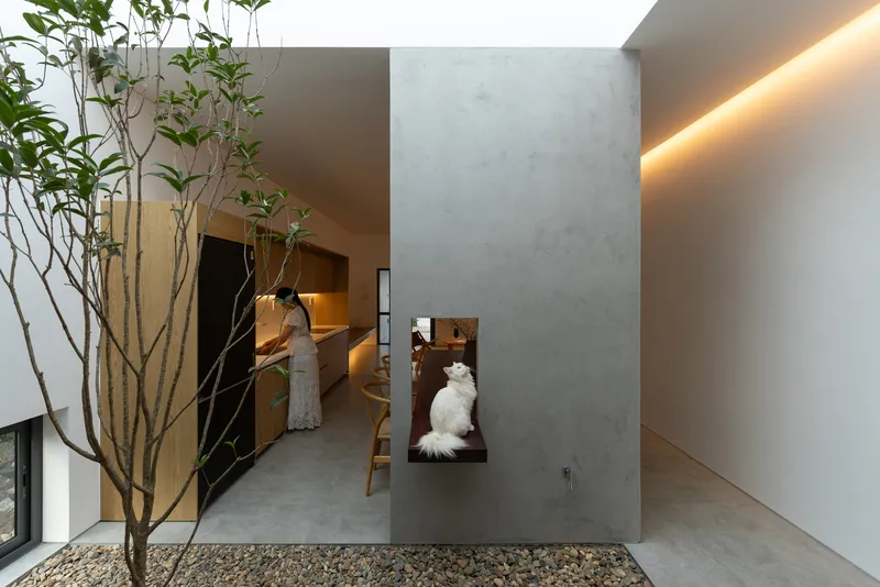 Interior concrete wall with timber framed niche and a young tree in a gravel bed
