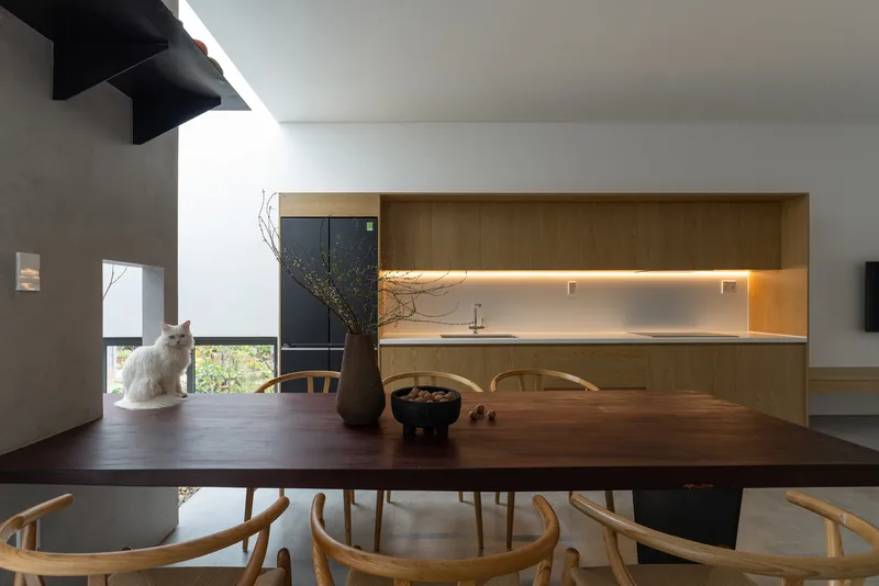 Dining table with timber chairs and white cat looking toward courtyard window