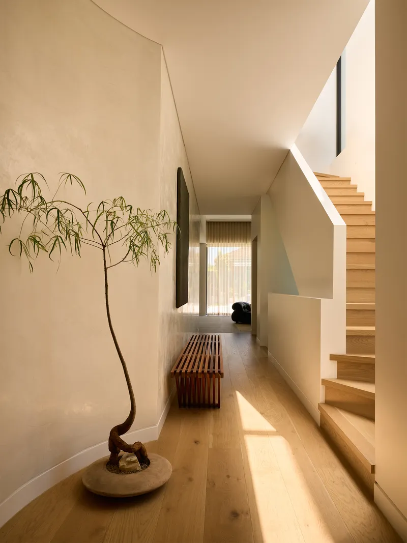 Corridor with timber staircase, slender potted tree, and natural light from a distant window
