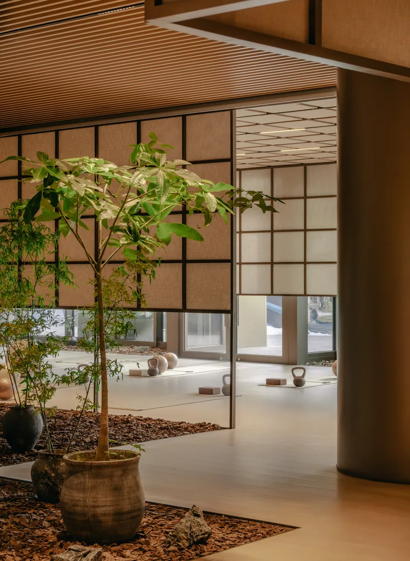 Interior courtyard with potted tree in ceramic vessel beside translucent gridded partitions and ribbed wood ceiling