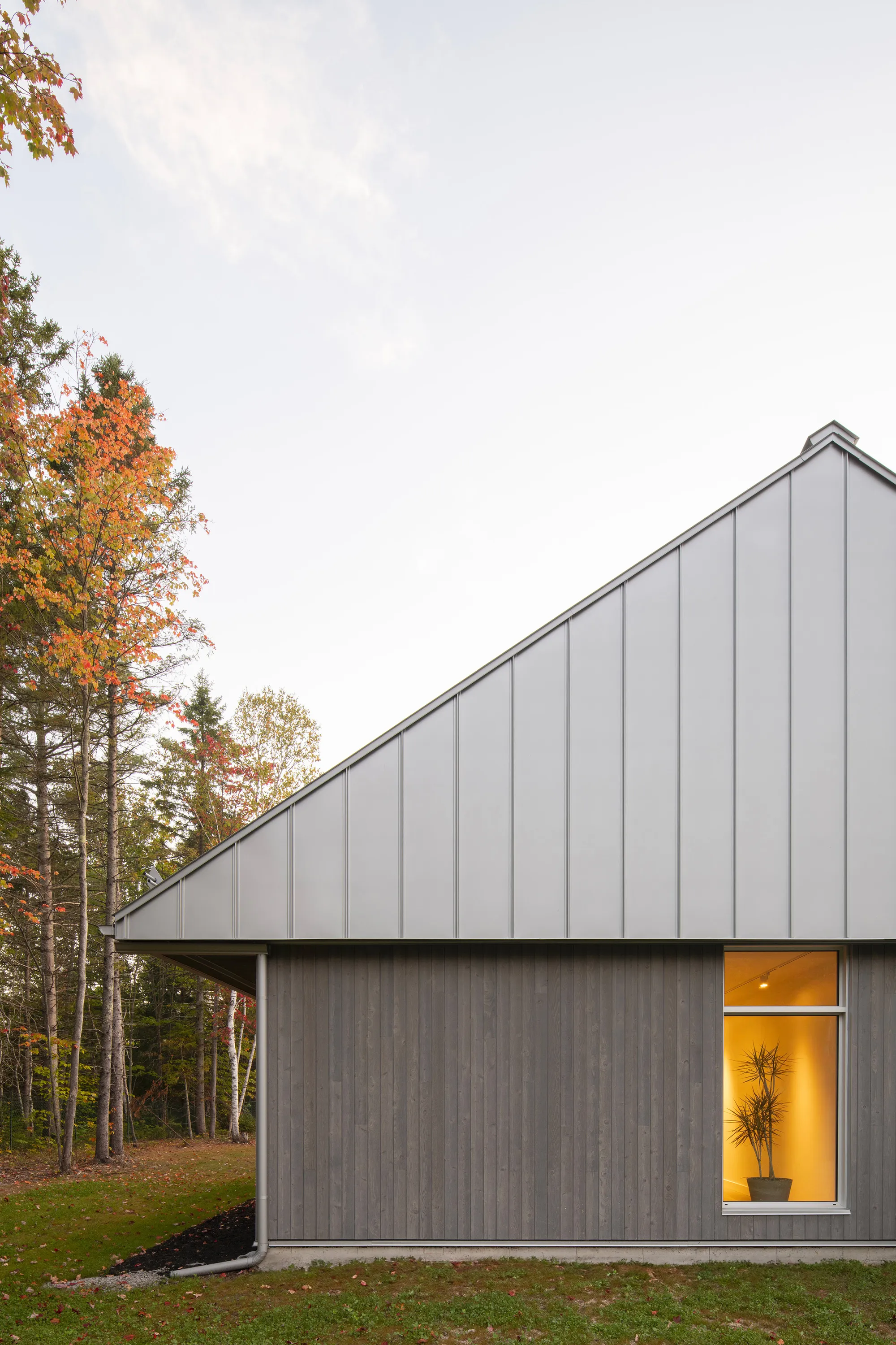 CARTA. Architecte Nestles a Cedar-and-Stone Dental Clinic into the Laurentian Forest