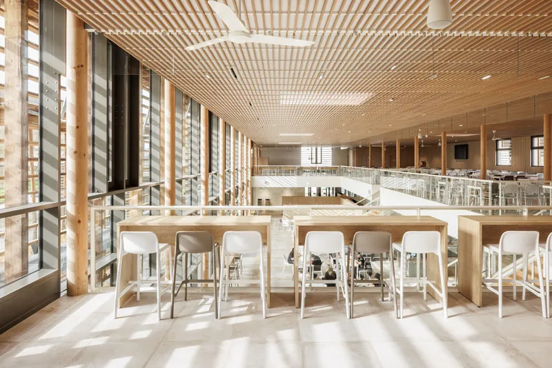 Interior dining hall with high bar tables and slatted timber ceiling casting striped shadows in afternoon light