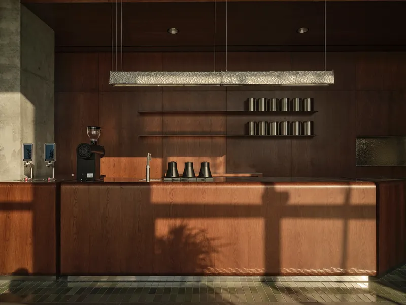 Wood-paneled counter with linear pendant light and open shelving in morning sunlight