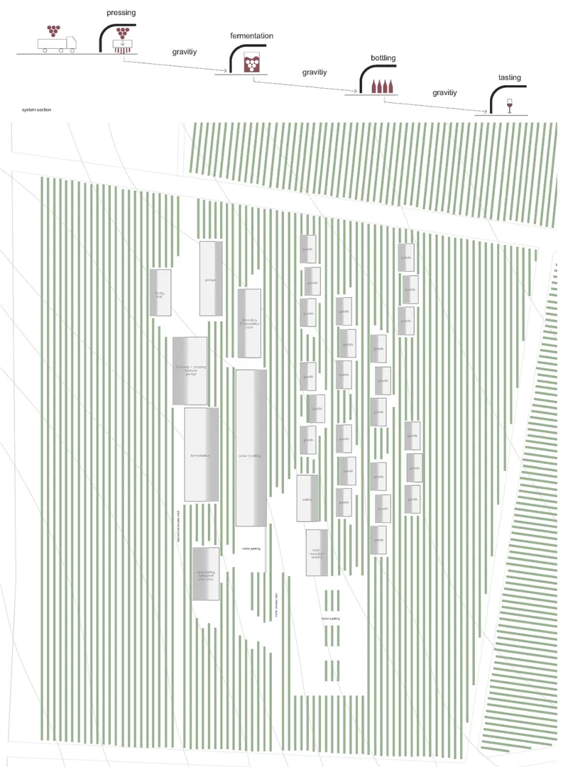 Gravity-fed production sequence organizes pressing, fermentation, bottling, and tasting across the natural site slope.