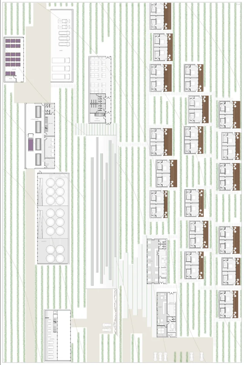 Master plan integrating winery production, hospitality, and guest accommodation within the vineyard rows.