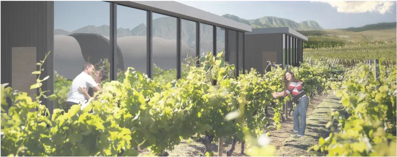 Glazed winery volumes create direct visual connections between visitors, architecture, and the surrounding grapevines.