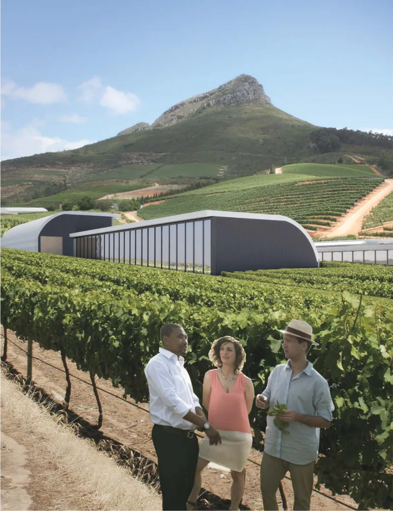 Curved winery forms sit gently within the vineyard, responding to the surrounding terrain and mountain landscape.