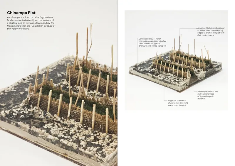 Chinampa Plot