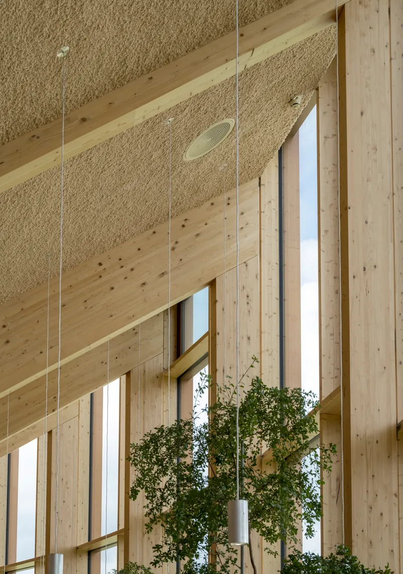 Double-height interior space with timber columns, textured ceiling panels and suspended planters near glazed openings