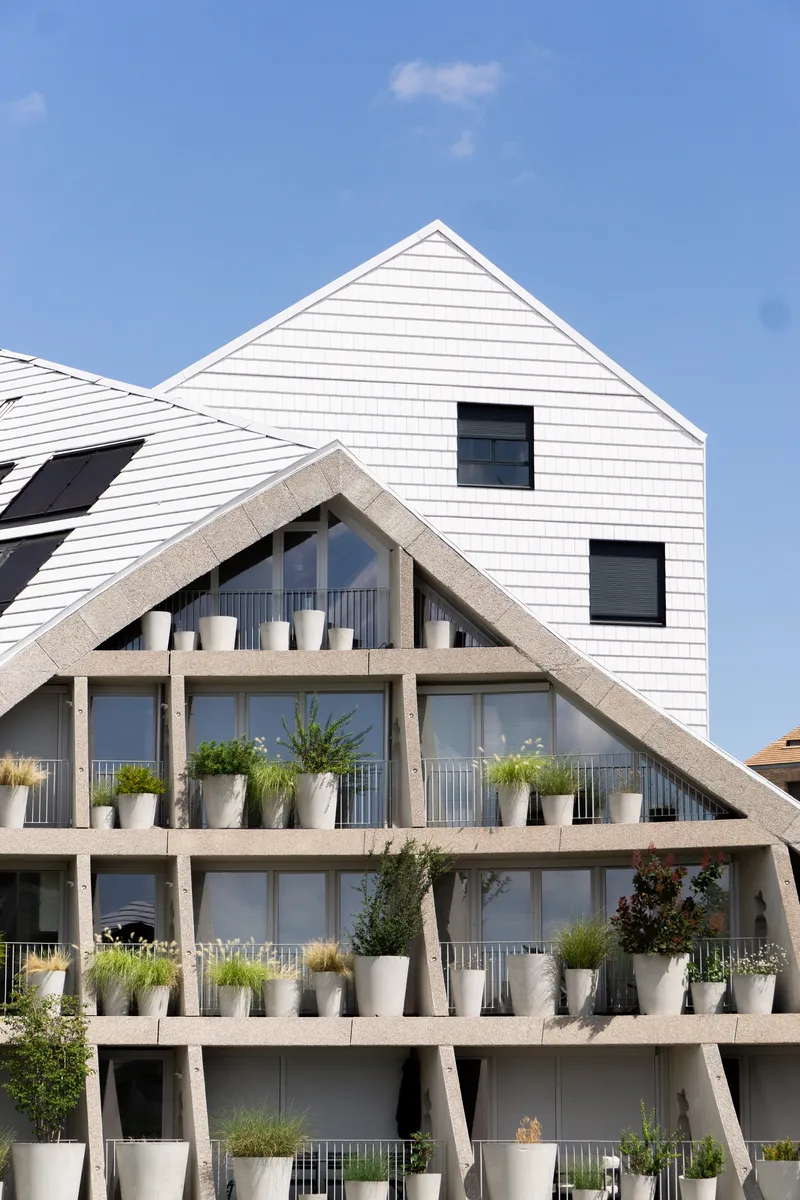 Triangular gabled facade with white timber cladding and exposed concrete frame holding cylindrical planters