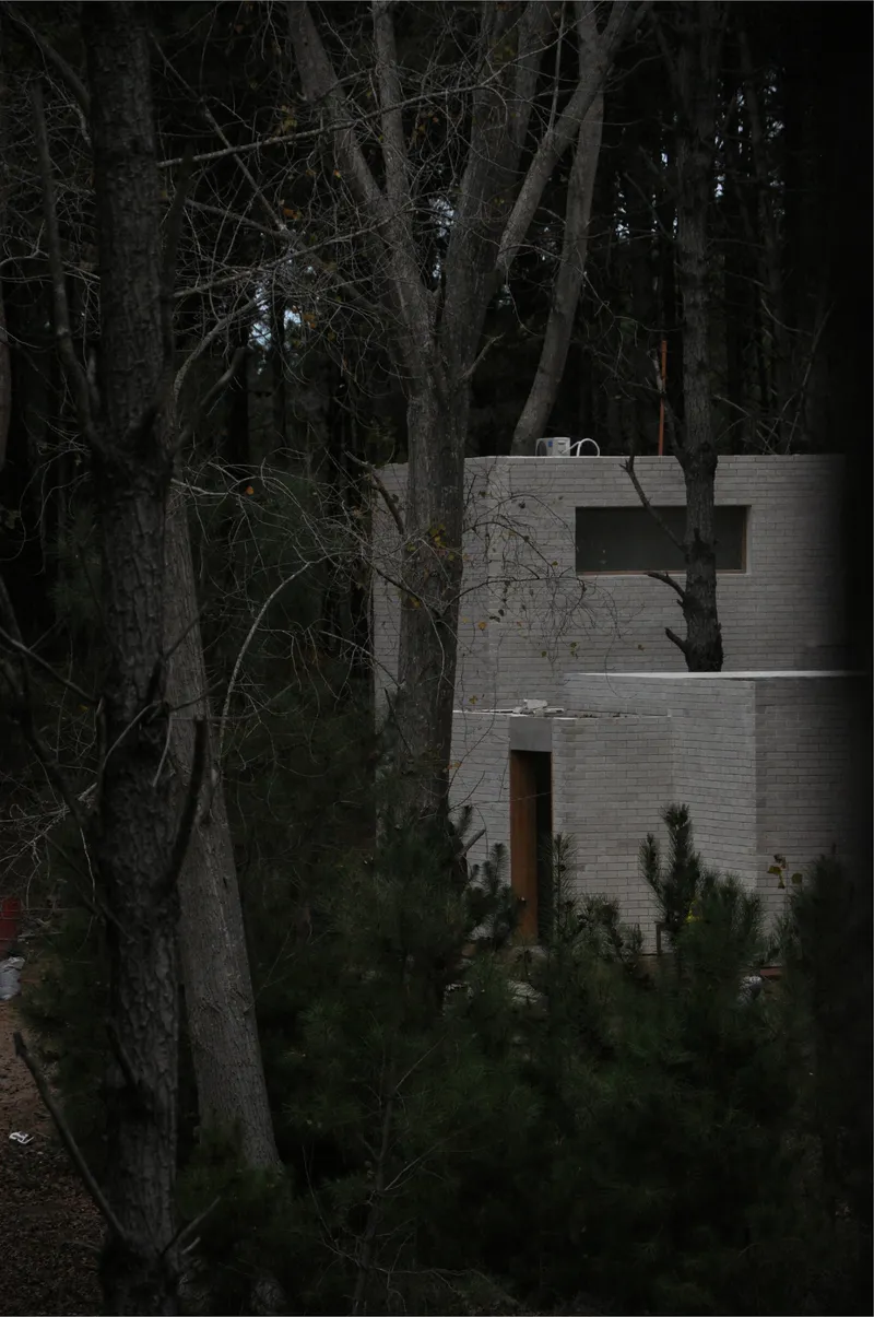 Pale brick volume with stacked openings nestled among dark tree trunks in a dense forest