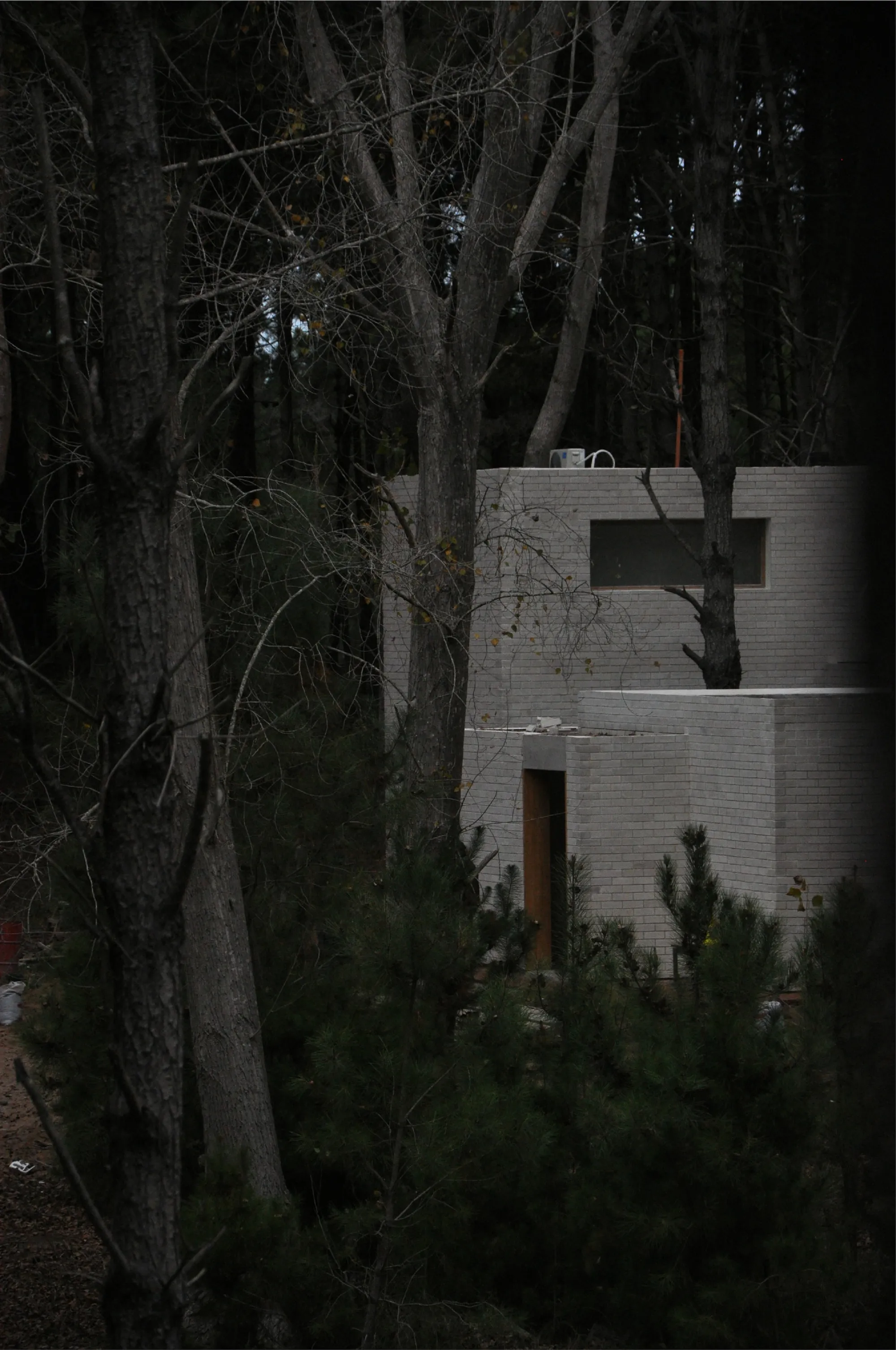 arquitectura.te Plants Three Pale Volumes in an Argentine Pine Forest to Stand Out, Not Blend In