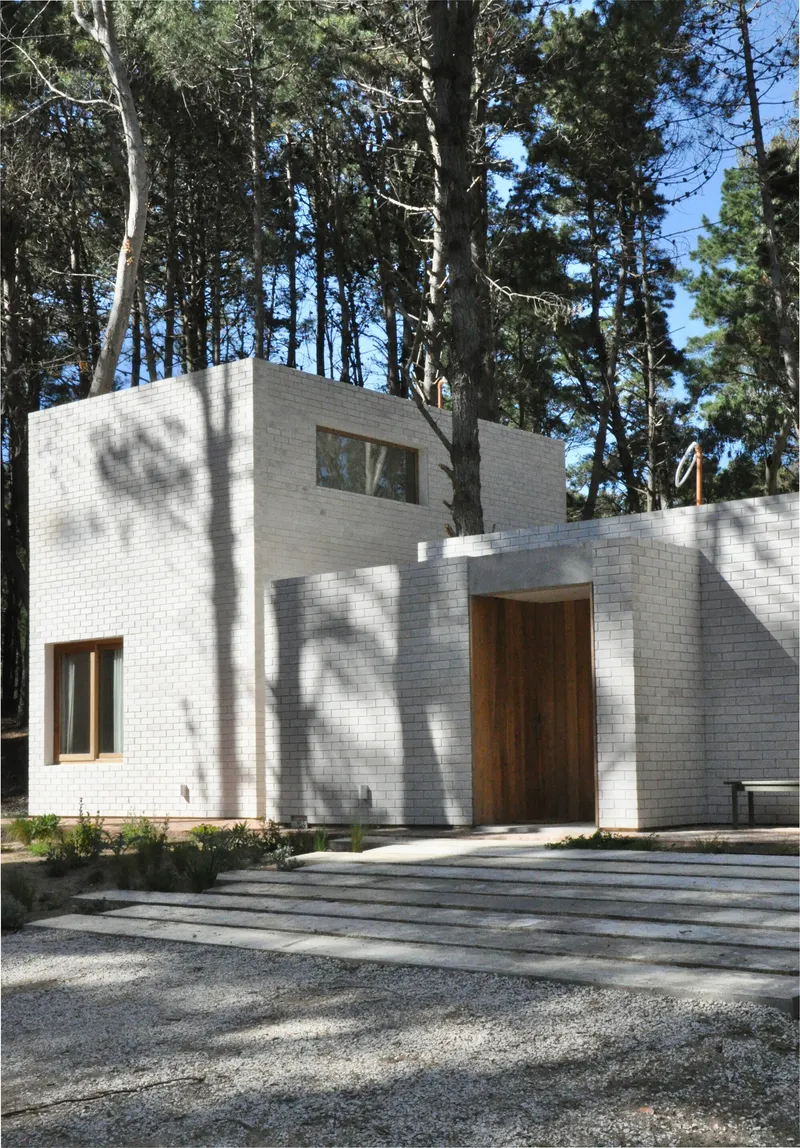 Entrance elevation with wood-framed windows and gravel forecourt under forest canopy