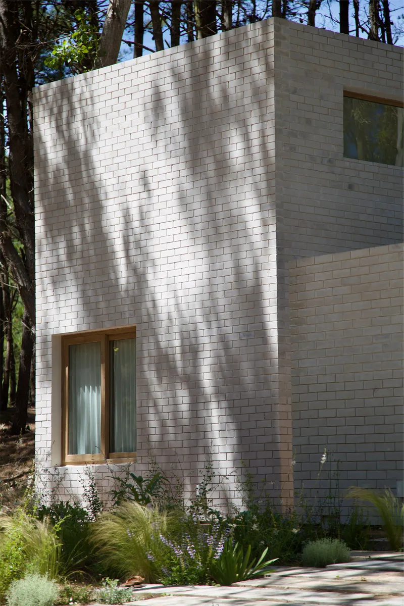 White brick facade with timber windows casting tree shadows over planted beds below