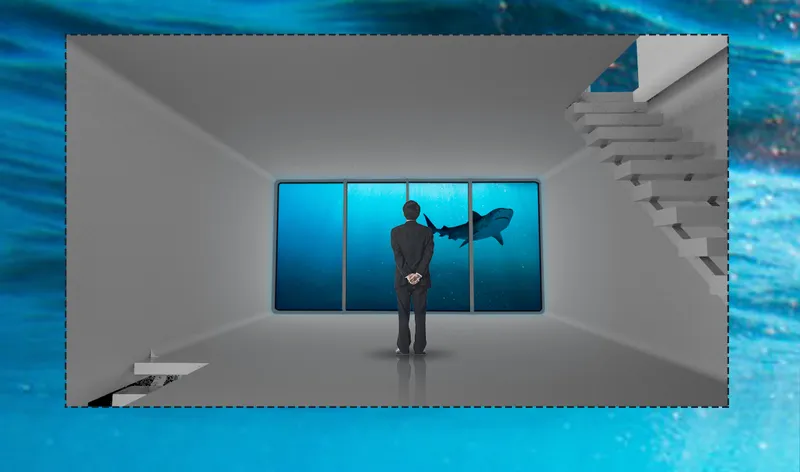 Interior view of a visitor standing before a large aquarium window with a shark swimming past