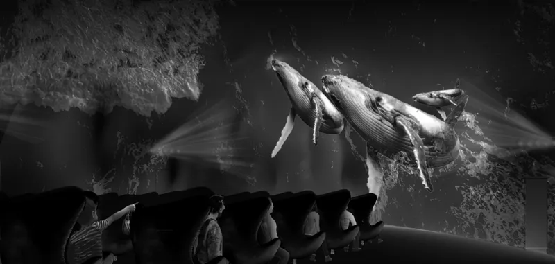 Kinetic screens and panoramic imagery create a spatial encounter where whales appear to move through the auditorium.
