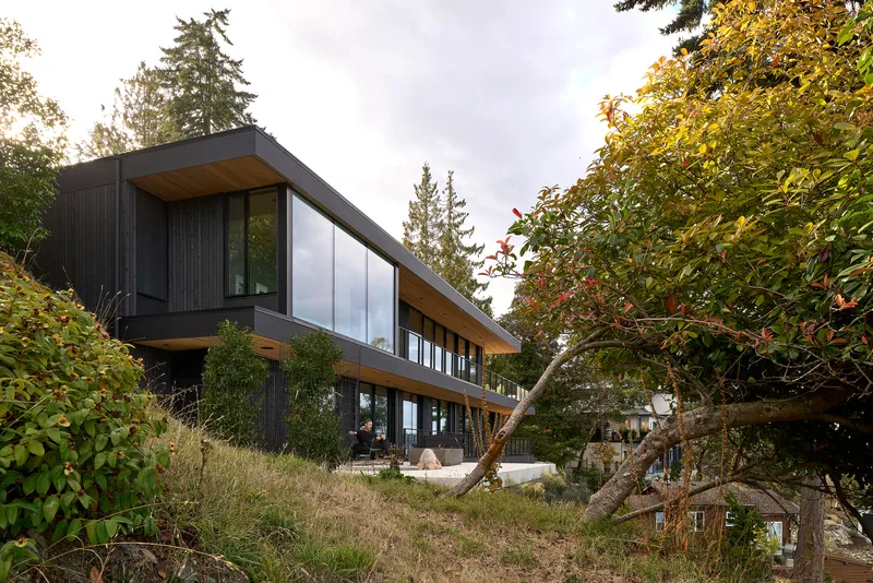 Cantilevered volume clad in dark timber rising above a sloped garden with gnarled trees and dry grasses
