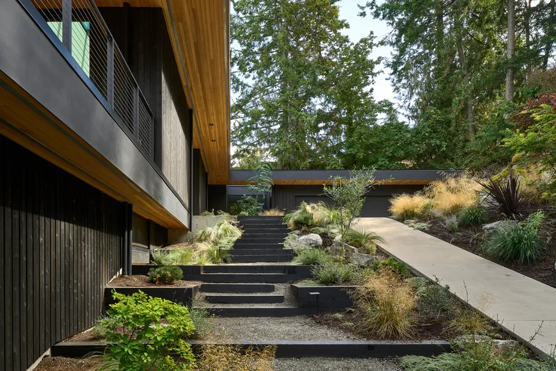 Exterior staircase with dark treads ascending through native grasses toward timber clad volumes