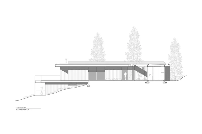 South elevation drawing illustrating an angled roof plane and staggered massing among tall trees