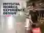 Phygital HORECA Experience Design