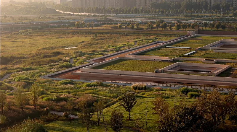 Aerial view of rectangular earth-sheltered roofs with planted beds surrounded by wild grasses at golden hour