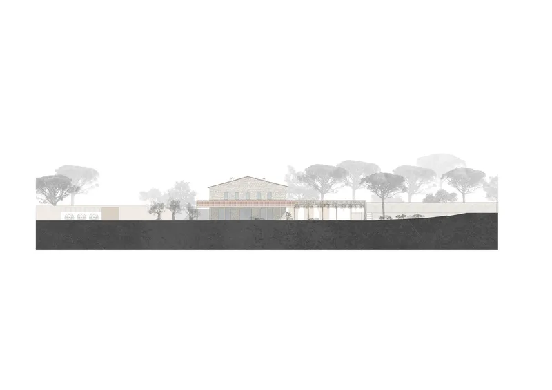 Long elevation drawing of a villa with hipped roof set among a grove of umbrella pines