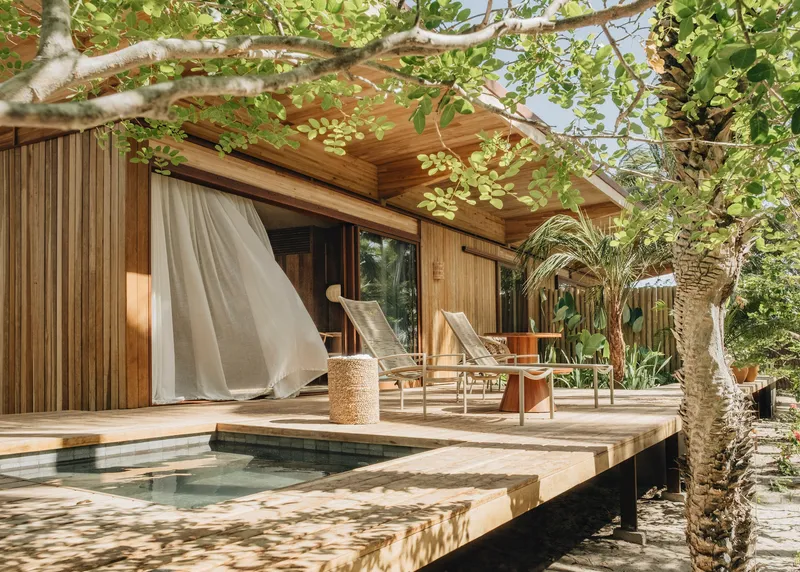 Timber deck terrace with plunge pool adjacent to glass doors and overhanging tree branches casting dappled shade