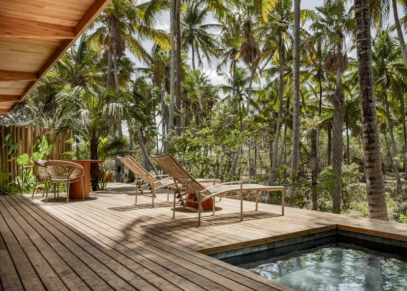 Poolside timber deck with lounge chairs and plunge pool surrounded by dense coconut palms