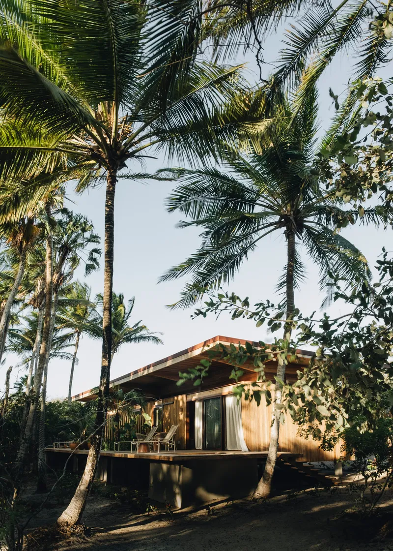 Timber pavilion with pitched roof and raised deck nestled among coconut palms at dusk