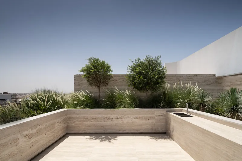 Rooftop terrace with board-formed concrete walls and planted beds with palms and olive trees under clear sky