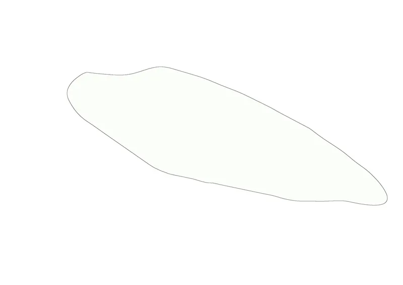 Line drawing showing an organic curved roof outline in plan view