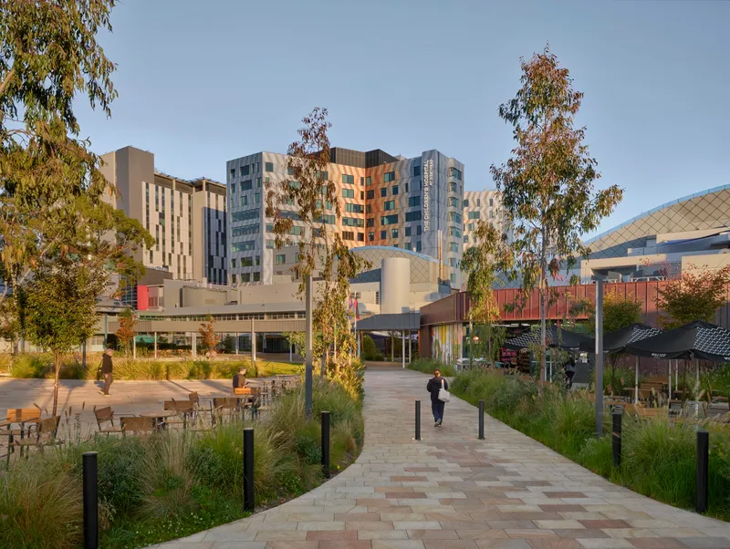 Paved pedestrian pathway through landscaped plaza with birch trees leading toward multi-story hospital tower at dusk