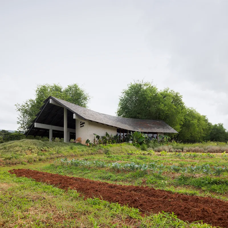 Low-slung pavilion with sweeping tiled roof set within rows of planted crops on red earth