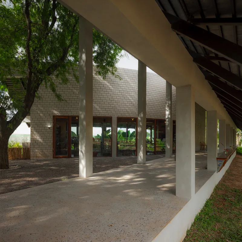 Covered veranda with white columns and timber windows framed by dappled sunlight through overhead branches