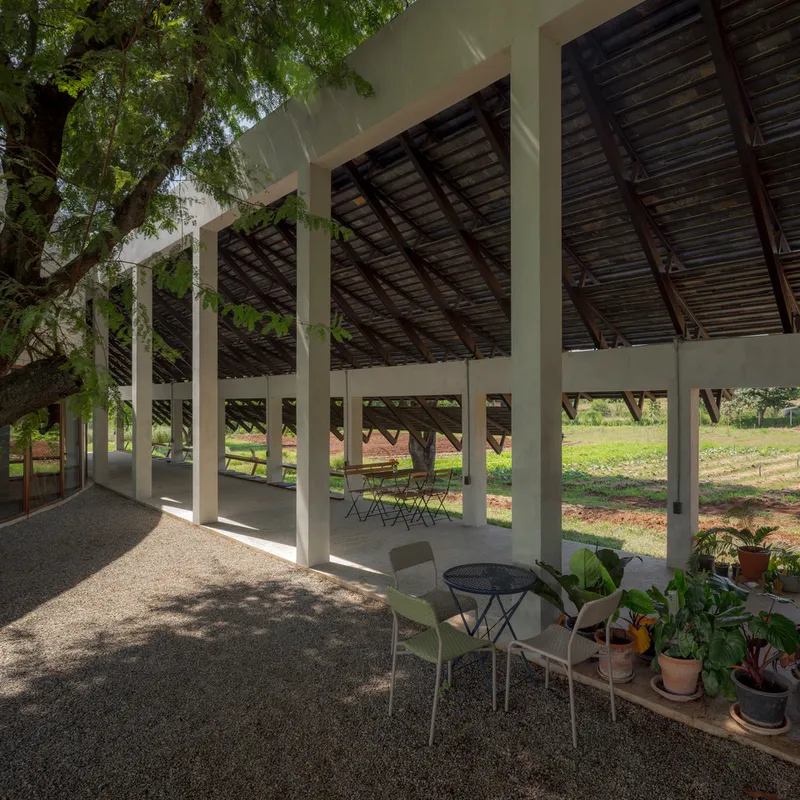 Open-air pavilion with white columns and exposed timber roof framing shaded by a large tree