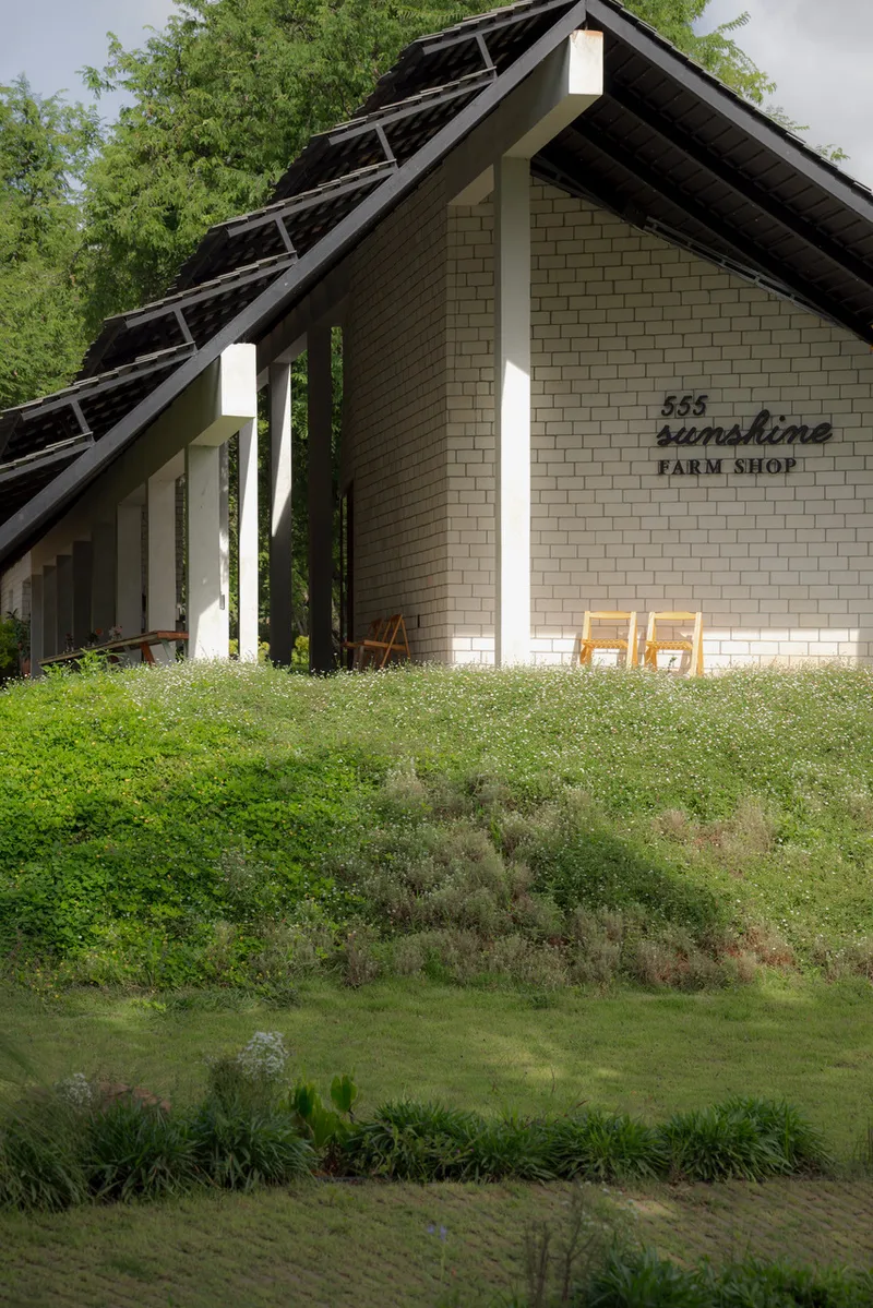 Gabled facade with cream brick wall and exposed timber rafters rising from terraced planted slopes