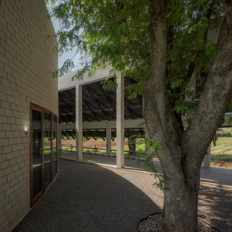 Gravel courtyard with existing tree trunk preserved between cream brick wall and open pavilion structure