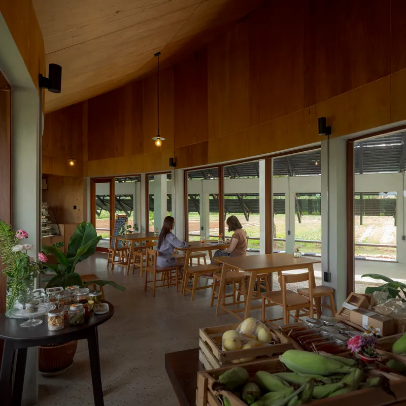 Interior cafe space with timber-lined ceiling and two people seated at wooden tables near large windows