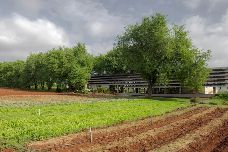 Horizontal building with layered timber roof sheltering beneath a canopy of trees and cultivated fields