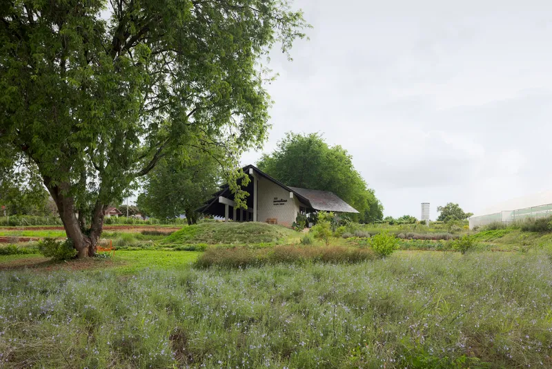 Pitched roof volume with chimney rising beyond a foreground of flowering ground cover and wetland