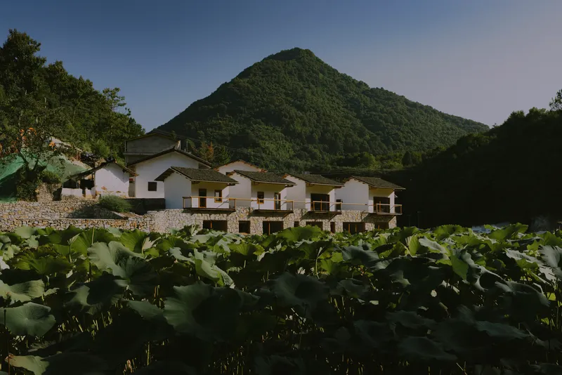 Residential buildings with white upper walls and stone bases viewed across a lotus pond with mountain backdrop